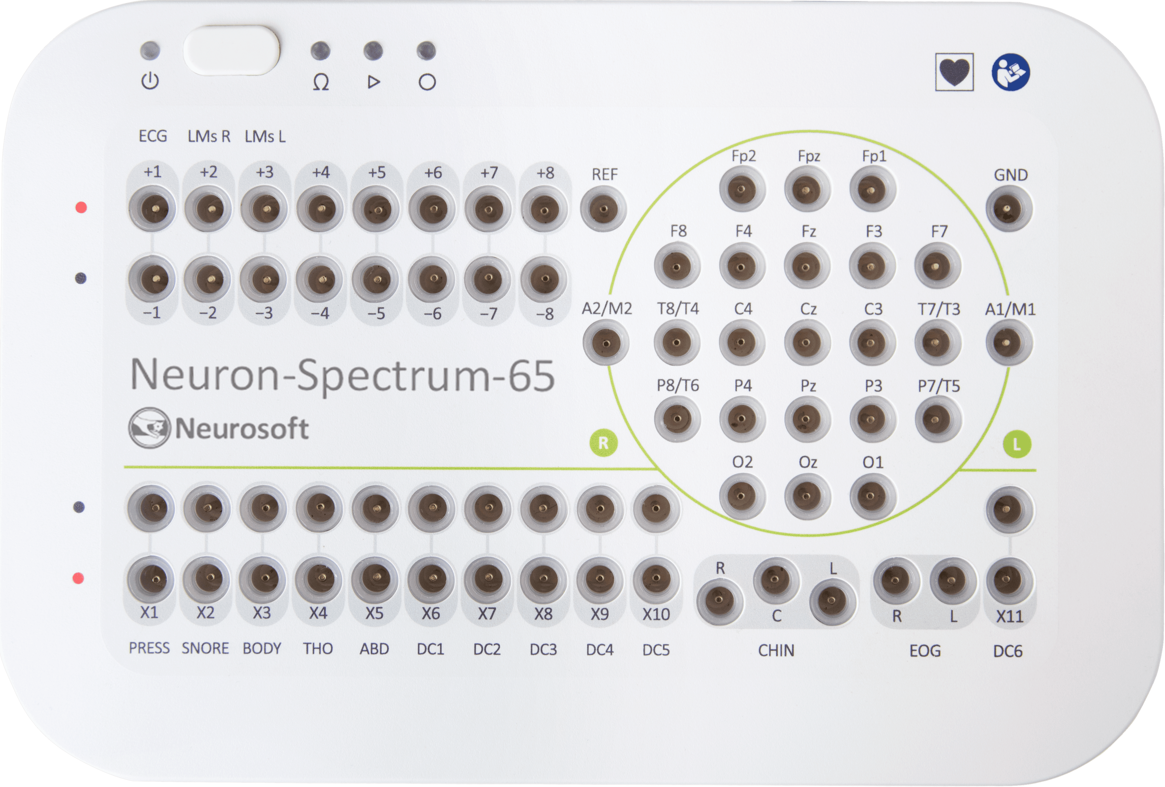 Neuron-Spectrum-65