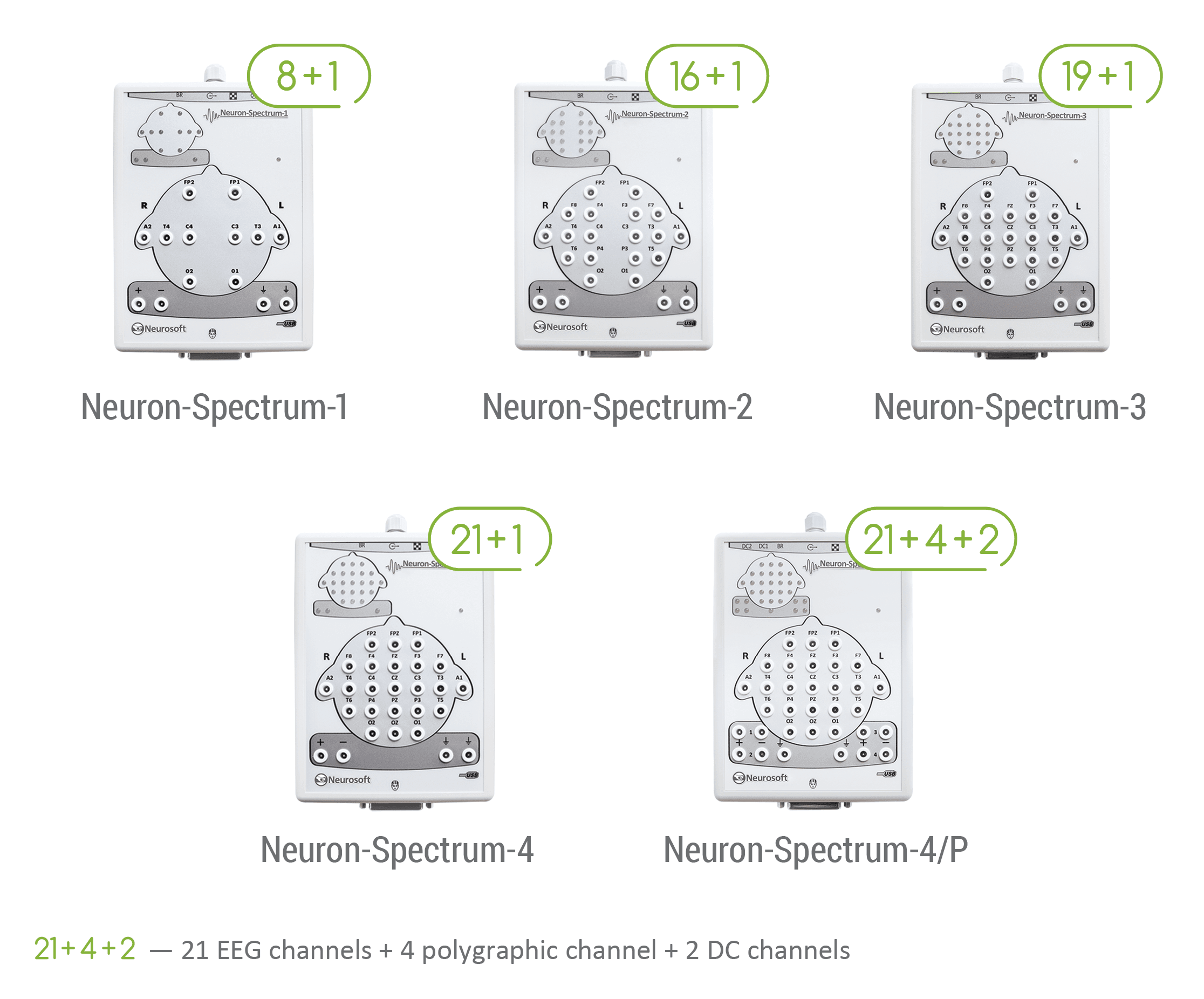 Neuron-Spectrum-1